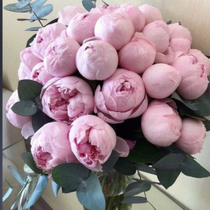 21 пион с эвкалиптом и лентами